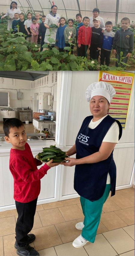 Жылыжайымыз жемісті болғай!